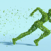 leaves-human-sustainability-stockpack-pixabay.jpg leaves, human, sustainability