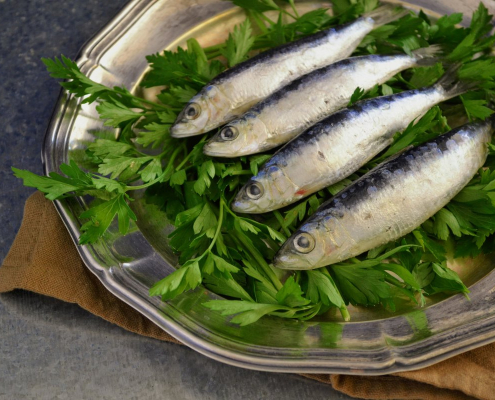 sardines, fresh fish, fish