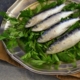 sardines, fresh fish, fish