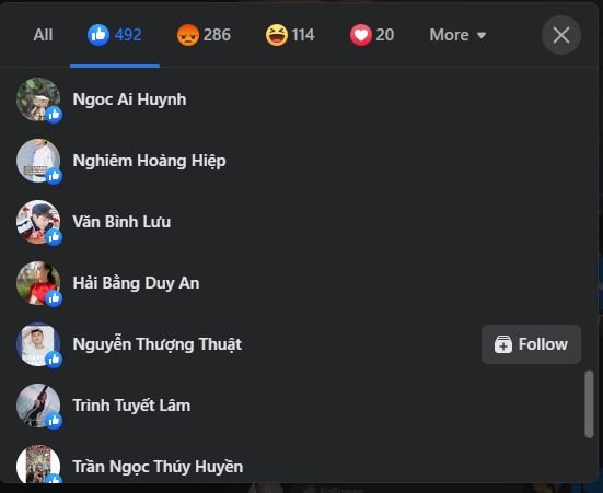 Vietnamezi Citu