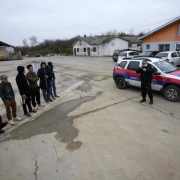 vietnamezi la zrenjanin 1 Vietnamezi La Zrenjanin 1