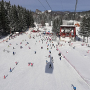 243452664 366406525179264 9019586795428263056 N