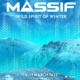 MASSIF Massif