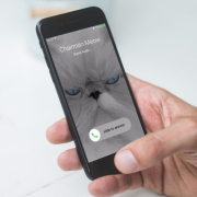 callkit Callkit