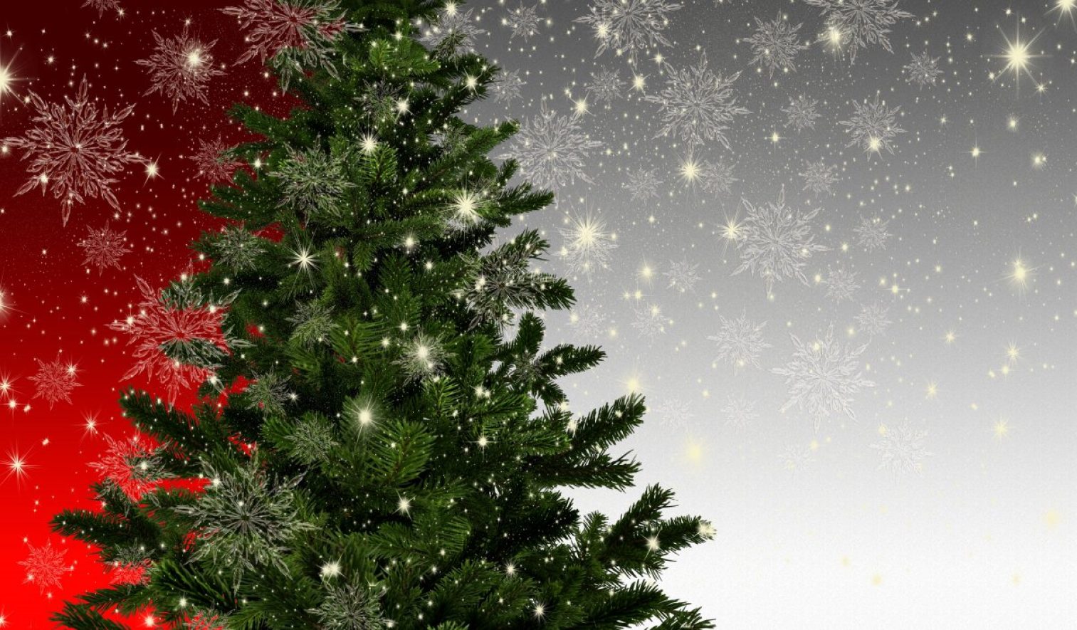 christmas, fir tree, mockup
