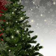 christmas-fir-tree-mockup-stockpack-pixabay.jpg christmas, fir tree, mockup