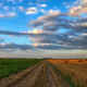 field, road, rural