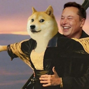 Musk Meme Doge