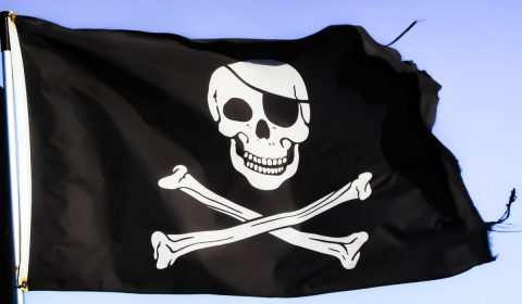 pirates, flag, skull