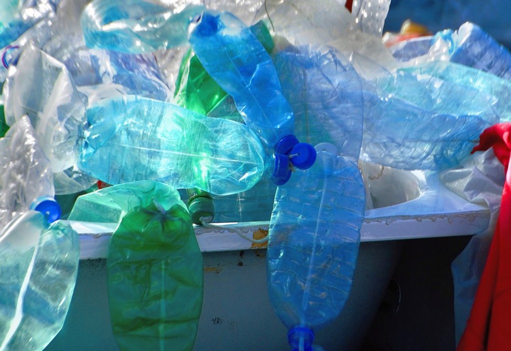 plastic, detritus, bulky