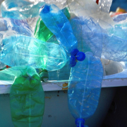 plastic, detritus, bulky
