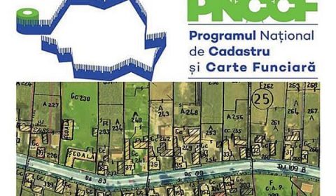 Pnccf Logo