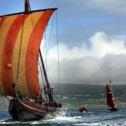 Vikingi