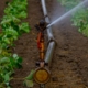 water-sprinkler-water-jet-artificially-stockpack-pixabay.jpg water sprinkler, water jet, artificially