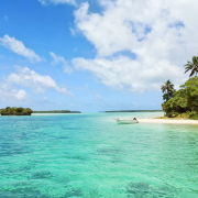 white boat on body of water near green palm trees