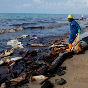 oil beach Thailand 178481
