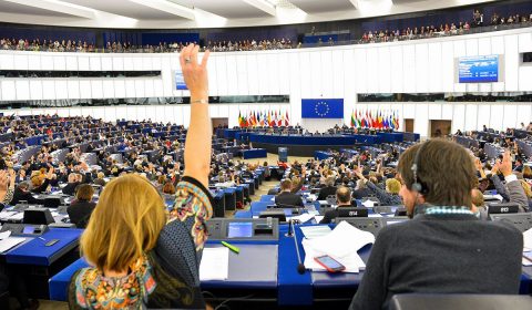 European Parliament Vote Plenary