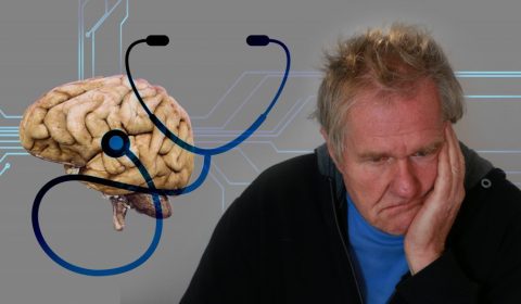 alzheimer's disease, senior, brain