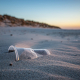 beach-sand-plastic-stockpack-pixabay.jpg beach, sand, plastic