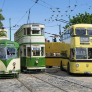 bus, trolley bus, trolley