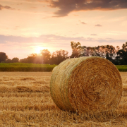 field-hay-bale-sunset-stockpack-pixabay.jpg field, hay bale, sunset