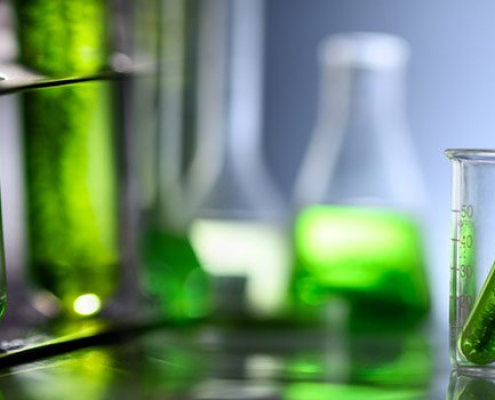how-are-biofuels-made How Are Biofuels Made