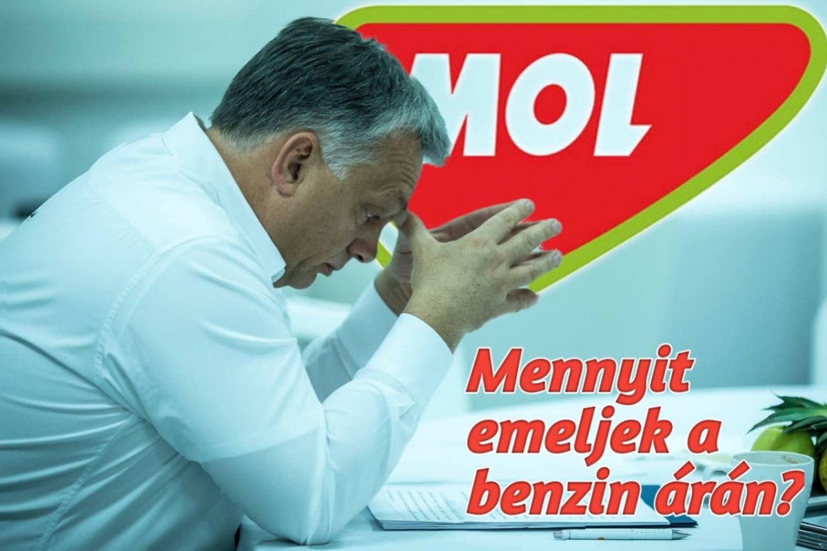 orban mol Orban Mol