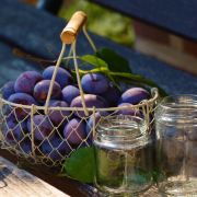 plums-glasses-mason-jars-stockpack-pixabay.jpg plums, glasses, mason jars