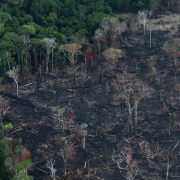 2021-04-07T180559Z_1_LYNXMPEH361G4_RTROPTP_4_BRAZIL-DEFORESTATION-scaled 2021 04 07t180559z 1 Lynxmpeh361g4 Rtroptp 4 Brazil Deforestation Scaled