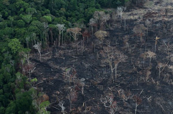 2021 04 07t180559z 1 Lynxmpeh361g4 Rtroptp 4 Brazil Deforestation Scaled