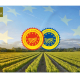 DOP IGP Italia afaceri news Dop Igp Italia Afaceri News
