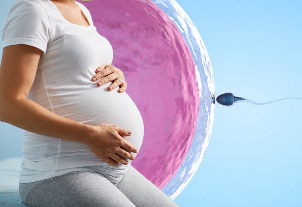 Fertilizare In Vitro Sanse De Reusita Nypost.com 1