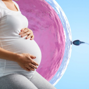 Fertilizare-in-vitro-sanse-de-reusita-nypost.com_1 Fertilizare In Vitro Sanse De Reusita Nypost.com 1