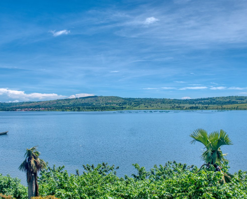 africa-nile-uganda-stockpack-pixabay.jpg africa, nile, uganda