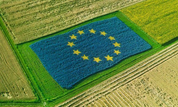 Agricultura Fonduri Ue