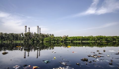 contamination, water pollution, lake