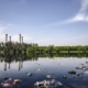 contamination-water-pollution-lake-stockpack-pixabay.jpg contamination, water pollution, lake