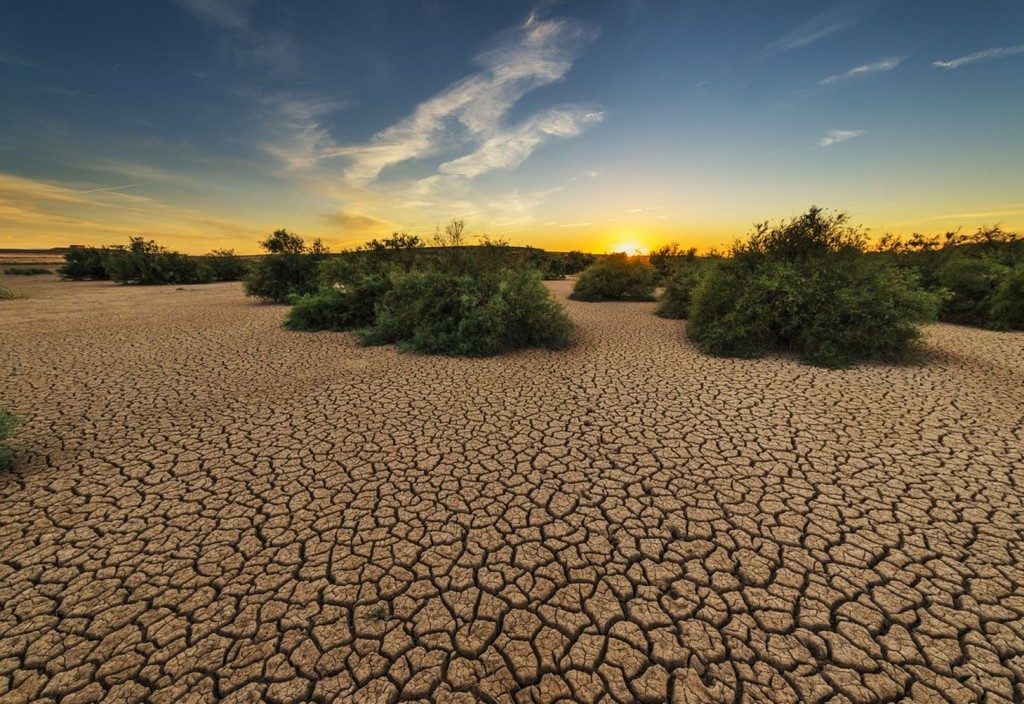 drought, dehydrated, clay floor