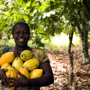 fruit, food, grow
