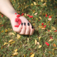 pills-death-danger-stockpack-pixabay.jpg pills, death, danger