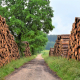 wood-timber-industry-forest-stockpack-pixabay.jpg wood, timber industry, forest