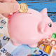 euro pusculita banci Euro Pusculita Banci