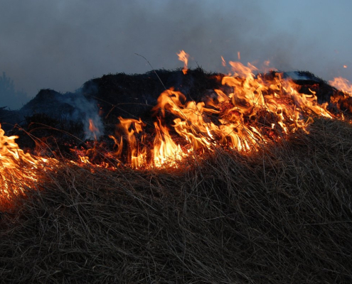 fire-flames-hot-stockpack-pixabay.jpg fire, flames, hot