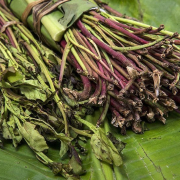 Khat