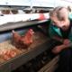 Smena 2 Gaina Ruseasca