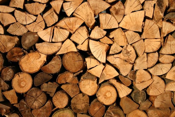 wood, logs, bole