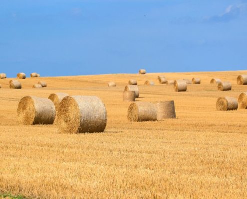 agriculture-arable-bale-countryside-stockpack-pexels.jpg Agriculture arable bale countryside