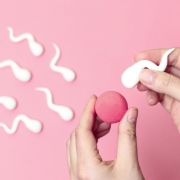 fertilizarea-in-vitro Fertilizarea In Vitro