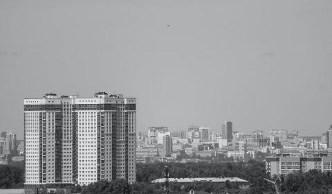 Novosibirsk city, big city and bird
