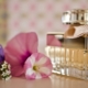 perfume-glass-bottle-fragrance-stockpack-pixabay.jpg perfume, glass bottle, fragrance
